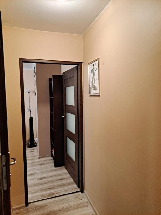 Monica Apartman Jelenia Góra Kültér fotó