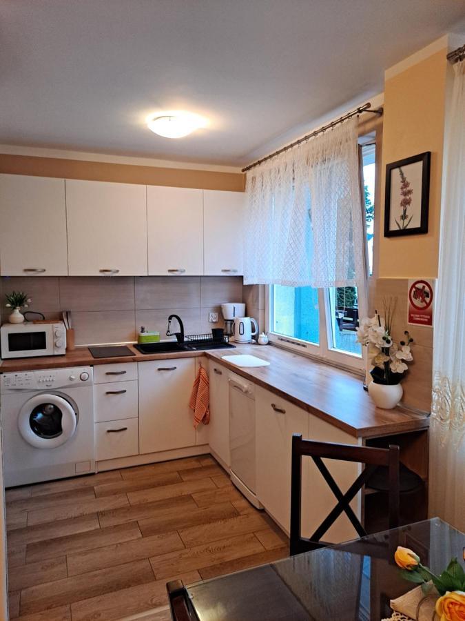 Monica Apartman Jelenia Góra Kültér fotó